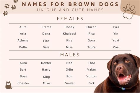 brown black dog names|puppy names for brown puppies.